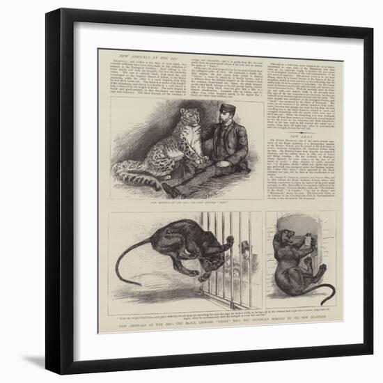 New Arrivals at the Zoo-null-Framed Giclee Print