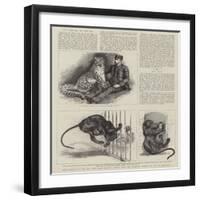 New Arrivals at the Zoo-null-Framed Premium Giclee Print