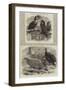 New Arrivals at the Zoological Society's Gardens-Thomas W. Wood-Framed Giclee Print