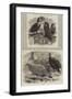 New Arrivals at the Zoological Society's Gardens-Thomas W. Wood-Framed Giclee Print