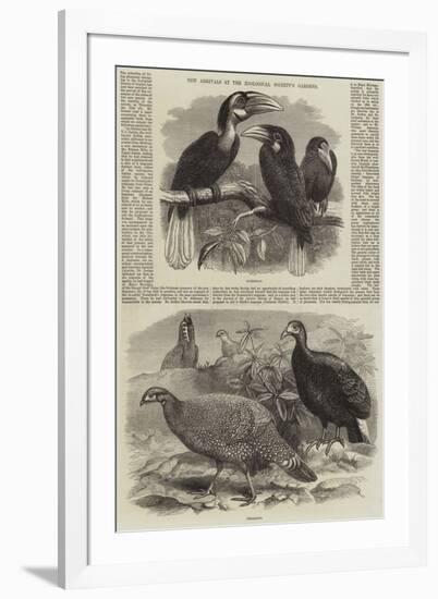 New Arrivals at the Zoological Society's Gardens-Thomas W. Wood-Framed Giclee Print