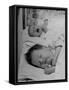 New Babies Filling the Maternity Wards of the Hospitals-Nina Leen-Framed Stretched Canvas