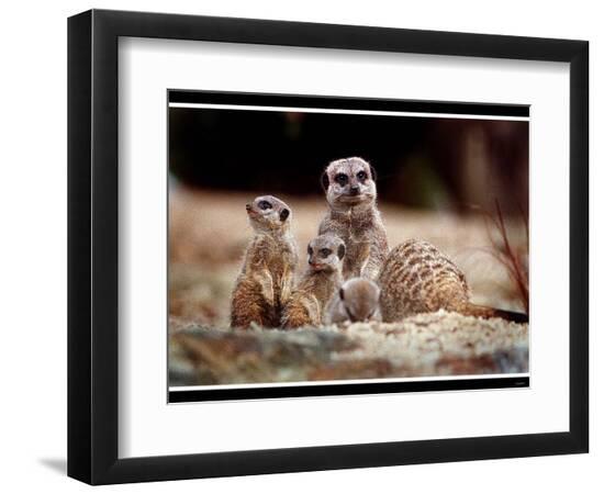 Premium Photographic Print, , large