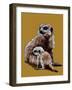 New Baby Meerkats on Golden Yellow, 2020, (Pen and Ink)-Mike Davis-Framed Giclee Print