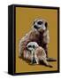 New Baby Meerkats on Golden Yellow, 2020, (Pen and Ink)-Mike Davis-Framed Stretched Canvas