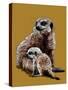 New Baby Meerkats on Golden Yellow, 2020, (Pen and Ink)-Mike Davis-Stretched Canvas