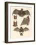 New Bats-null-Framed Giclee Print