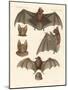 New Bats-null-Mounted Giclee Print