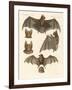 New Bats-null-Framed Giclee Print