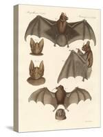 New Bats-null-Stretched Canvas