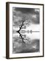 New Beginning Reflect-Moises Levy-Framed Photographic Print