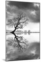 New Beginning Reflect-Moises Levy-Mounted Photographic Print