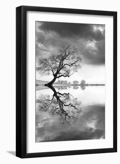 New Beginning Reflect-Moises Levy-Framed Photographic Print