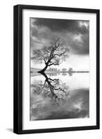 New Beginning Reflect-Moises Levy-Framed Photographic Print