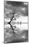 New Beginning Reflect-Moises Levy-Mounted Photographic Print