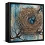 New Beginnings-Jodi Monahan-Framed Stretched Canvas