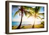 New Bimini-Susan Bryant-Framed Photographic Print