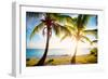 New Bimini-Susan Bryant-Framed Photographic Print