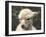 New Born Alpaca-Ifistand-Framed Photographic Print