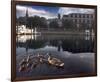 New Born Crossing-Steve Hunziker-Framed Art Print