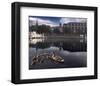 New Born Crossing-Steve Hunziker-Framed Art Print