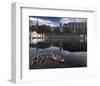 New Born Crossing-Steve Hunziker-Framed Art Print