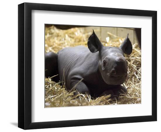 Premium Photographic Print, , large