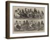 New Breeds of Pigeons at the Birmingham Show-null-Framed Giclee Print