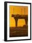 New Brighton Pier at Dawn, Christchurch, South Island, New Zealand.-David Wall-Framed Photographic Print