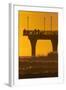 New Brighton Pier at Dawn, Christchurch, South Island, New Zealand.-David Wall-Framed Photographic Print