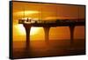 New Brighton Pier at Dawn, Christchurch, South Island, New Zealand.-David Wall-Framed Stretched Canvas