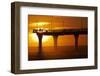 New Brighton Pier at Dawn, Christchurch, South Island, New Zealand.-David Wall-Framed Photographic Print