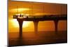 New Brighton Pier at Dawn, Christchurch, South Island, New Zealand.-David Wall-Mounted Photographic Print