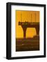 New Brighton Pier at Dawn, Christchurch, South Island, New Zealand.-David Wall-Framed Photographic Print