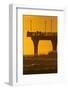 New Brighton Pier at Dawn, Christchurch, South Island, New Zealand.-David Wall-Framed Photographic Print