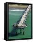 New Brighton Pier, Christchurch, South Island, New Zealand-David Wall-Framed Stretched Canvas