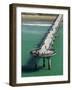 New Brighton Pier, Christchurch, South Island, New Zealand-David Wall-Framed Photographic Print