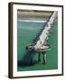 New Brighton Pier, Christchurch, South Island, New Zealand-David Wall-Framed Photographic Print