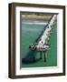 New Brighton Pier, Christchurch, South Island, New Zealand-David Wall-Framed Photographic Print