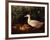 New Brood-Edward Neale-Framed Giclee Print