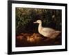 New Brood-Edward Neale-Framed Giclee Print