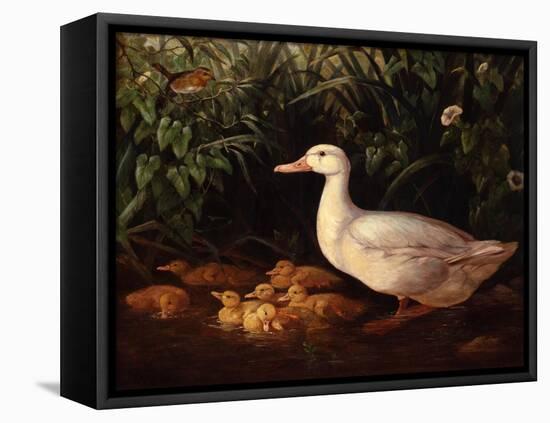 New Brood-Edward Neale-Framed Stretched Canvas