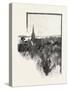 New Brunswick, a View in Fredericton, Canada, Nineteenth Century-null-Stretched Canvas