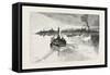 New Brunswick, Fredericton, from the River, Canada, Nineteenth Century-null-Framed Stretched Canvas