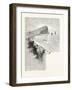 New Brunswick, Friar's Head, Campobello Island, Canada, Nineteenth Century-null-Framed Giclee Print