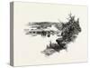 New Brunswick, Looking Up South-West Miramichi, Canada, Nineteenth Century-null-Stretched Canvas