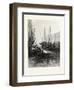 New Brunswick, Market Slip, St. John, at Low Tide, Canada, Nineteenth Century-null-Framed Giclee Print