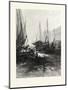 New Brunswick, Market Slip, St. John, at Low Tide, Canada, Nineteenth Century-null-Mounted Giclee Print