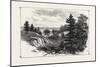 New Brunswick, on the Bay Chaleurs, Canada, Nineteenth Century-null-Mounted Giclee Print