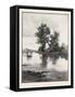 New Brunswick, on the Tobique, Canada, Nineteenth Century-null-Framed Stretched Canvas